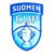 ฟินนิช คัพ (Finland Suomen Cup)